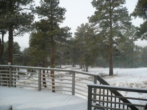Snow on the Porch
