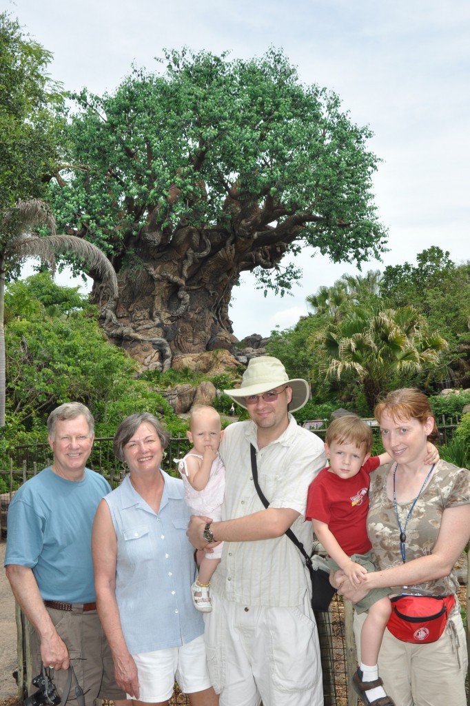 18322010000 Disneyworld, 2010