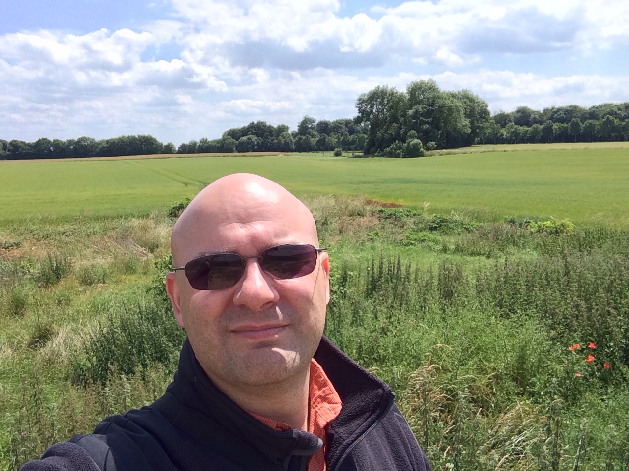 European Research 2014